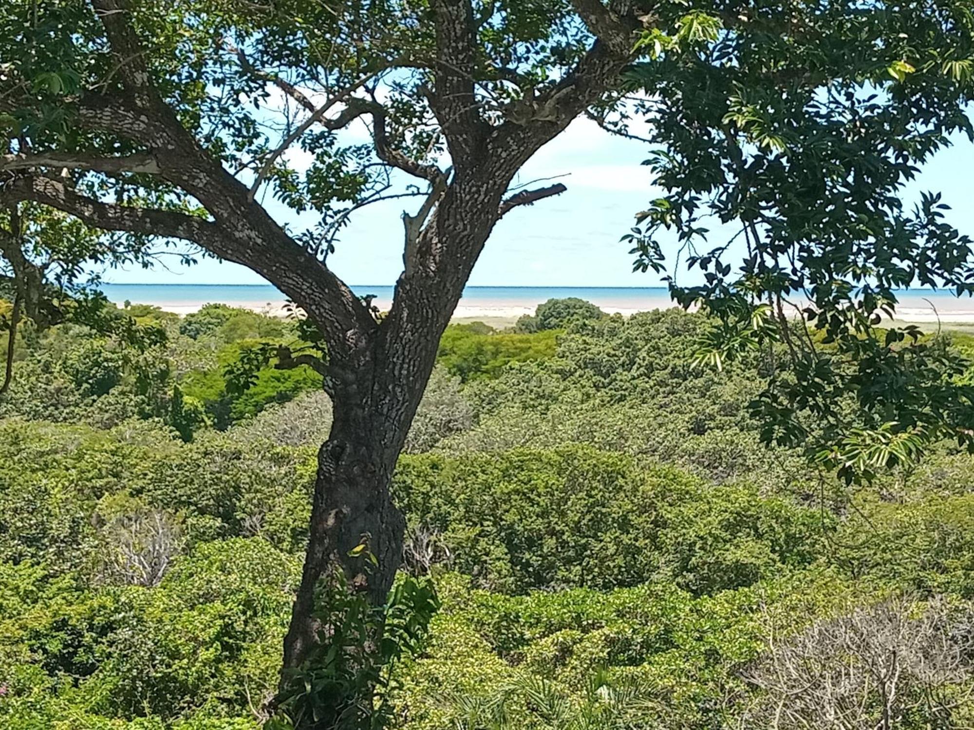 St. Lucia Ocean View Holiday Home Extérieur photo